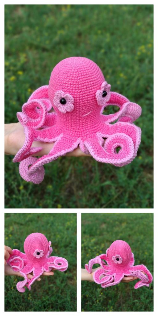Octopus 7