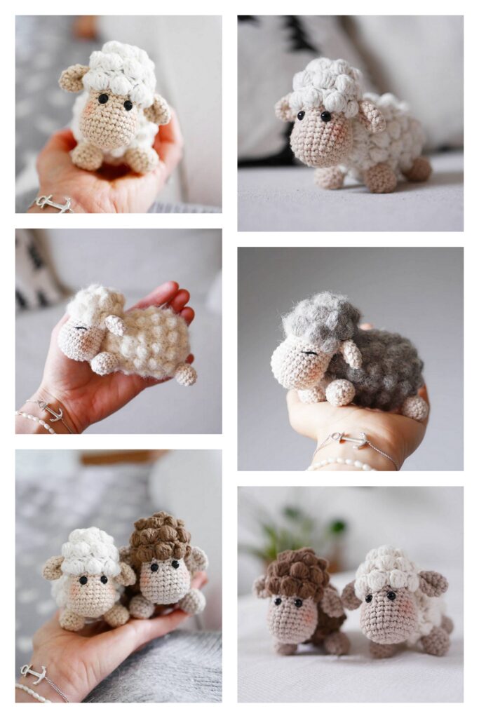 Sheep With Hat 2 Min