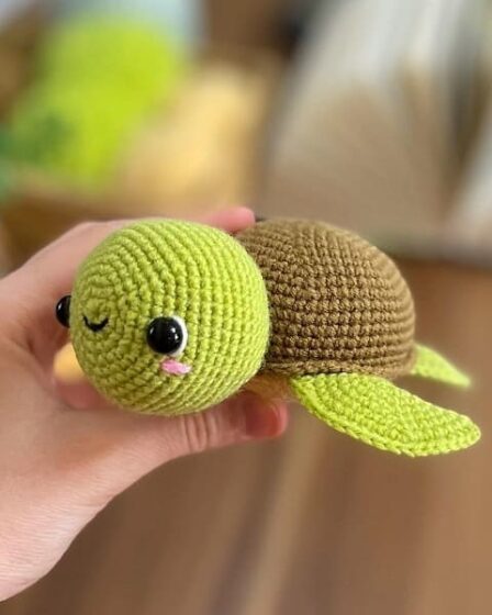 Cute Turtle 3